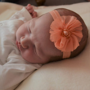 Newborn Headband - peach chiffon flower